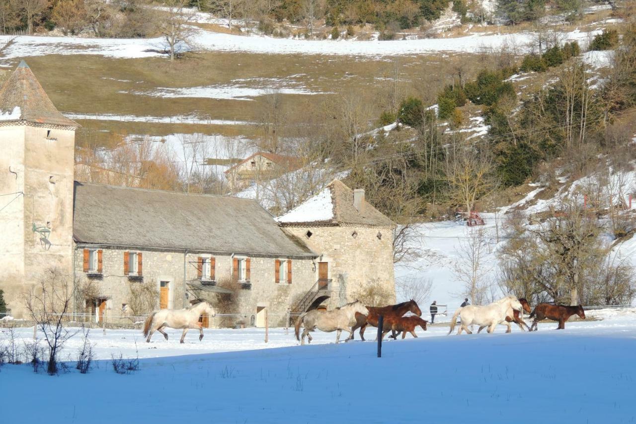 Le Colombier Bed & Breakfast Glandage Екстериор снимка
